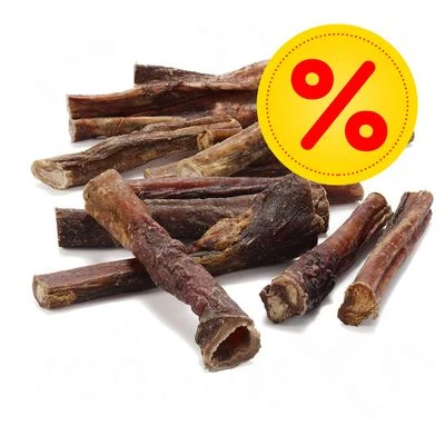 PROMO: 100 uds. x Rocco nervio de buey 12 cm PROMO: 100 Uds. X Rocco Nervio De Buey 12 Cm -Bravery Tienda rocco nervio buey 2