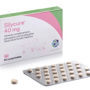 Silycure 40Mg Silycure 40Mg -Bravery Tienda silycure 40mg 60 comprimidos 1