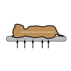 Cojín Ortopédico Pawz & Pepper Denver 6 Cojín Ortopédico Pawz & Pepper Denver -Bravery Tienda skizze memory foam 1