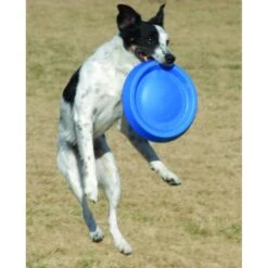 Starmark Easy Glider Multi