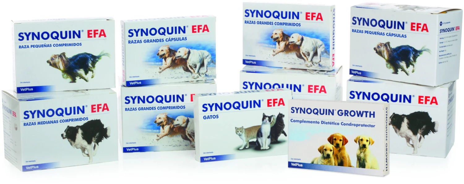 Synoquin Condroprotector Articular para Perros Medianos en Comprimidos Synoquin Condroprotector Articular Para Perros Medianos En Comprimidos -Bravery Tienda synoquin condroprotector articular para perros medianos en comprimidos 2 scaled