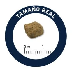 Advance Diabetes Veterinary Diets Pienso Para Perros 7 Advance Diabetes Veterinary Diets Pienso Para Perros -Bravery Tienda u02 surfnjixotjfuefsveldvuxbx0vtlmpwzw 1521571210872 1