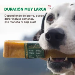 Mordedor Natural Leche De Yak Del Himalaya Con Cúrcuma Para Perros -Bravery Tienda wild yaky mordedor barrita leche yak himalaya curcuma 4 min 63733b737021d