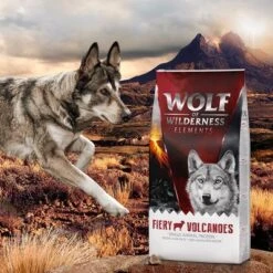 Pack Ahorro: 2 X 12 Wolf Of Wilderness Elements 6 Pack Ahorro: 2 X 12 Wolf Of Wilderness Elements -Bravery Tienda wow elements fieryvolcanoes 12kg 3