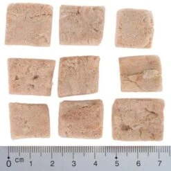 Pack De Prueba Mixto: Wolf Of Wilderness Snacks Liofilizados Premium -Bravery Tienda wow fd snack blue river cubes with ruler 4