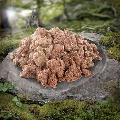 Wolf of Wilderness 6 x 300 g Wolf Of Wilderness 6 X 300 G -Bravery Tienda