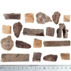 Calendario De Adviento 2023 Para Perros De Wolf Of Wilderness Sin Cereales -Bravery Tienda wow raw mixed fg 5427 2