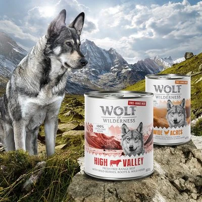 Wolf of Wilderness Free Range 6 x 800 g Wolf Of Wilderness Free Range 6 X 800 G -Bravery Tienda